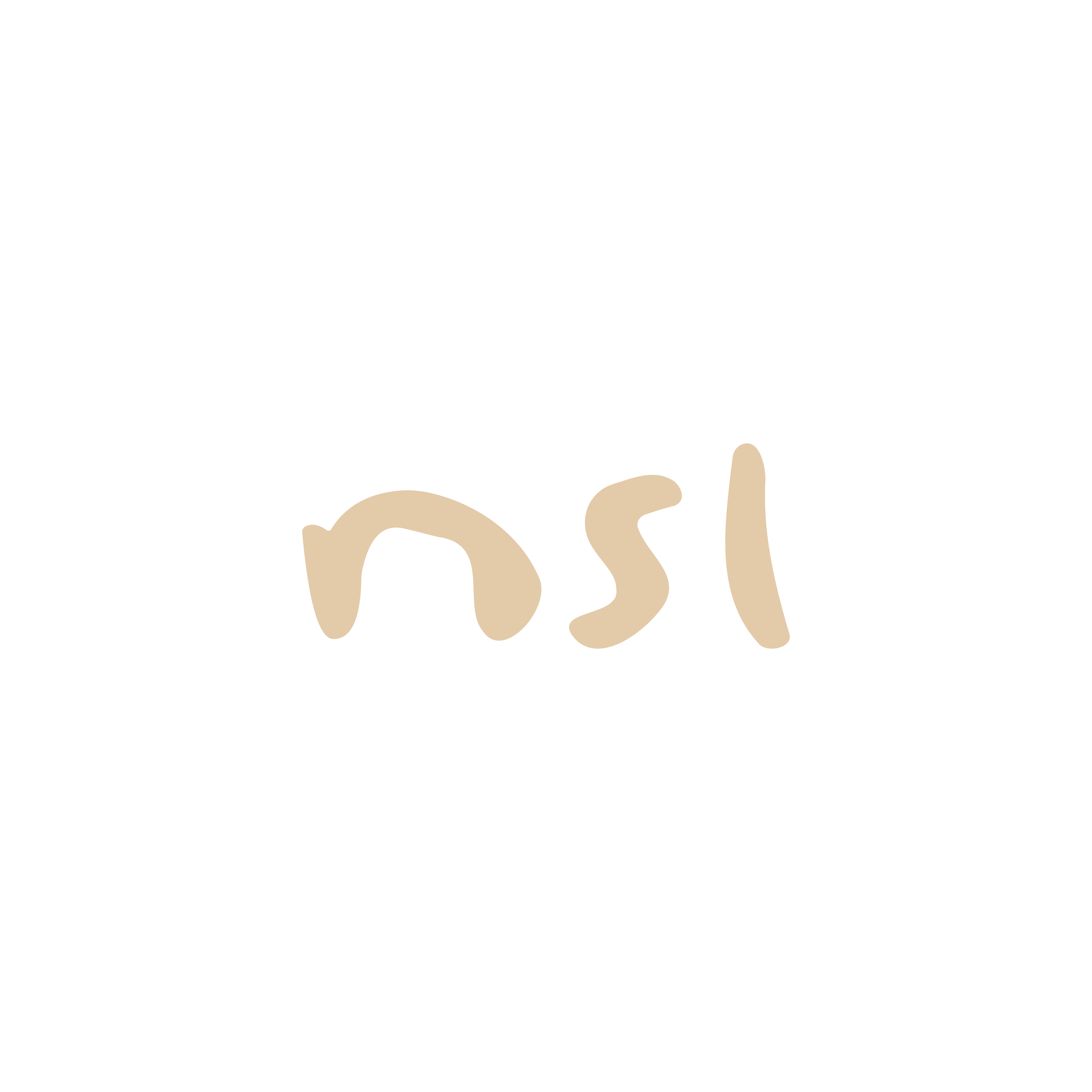 nsl